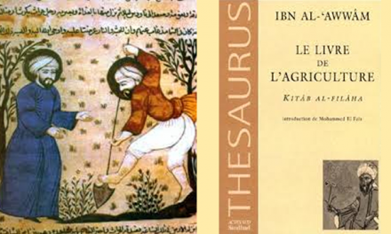 Ibnul Awwam Al-Asybili – Ahli Pertanian dari Andalusia